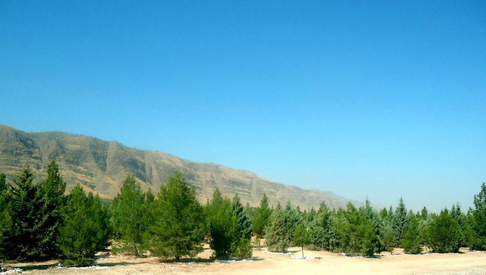 Türkmenistan nobatdaky ählihalk bag ekmek çäresine taýýarlyk görýär