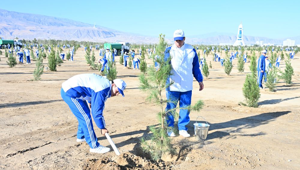 Hormatly Prezidentimiz ählihalk bag ekmek dabarasyna gatnaşdy