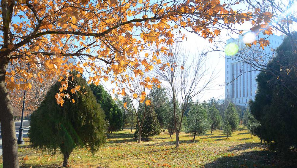 Türkmenistan boýunça 2025-nji ýylyň noýabr aýynyň 10-16-sy aralygynda hepdäniň dowamynda bolmagyna garaşylýan howa maglumaty