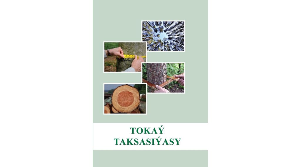 Tokaý taksasiýasy