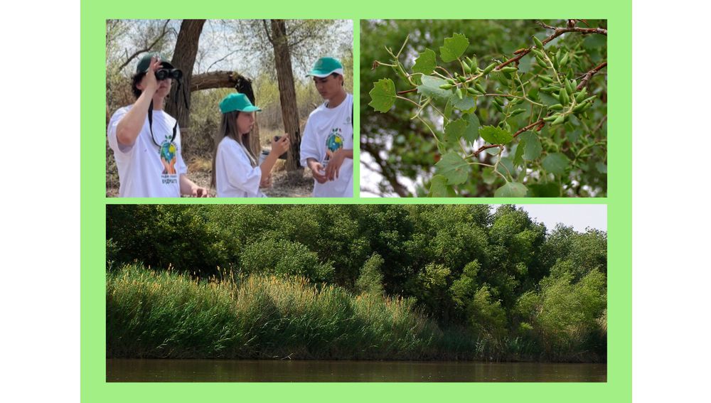 Youth explore the unique nature of the Amudarya nature reserve: A two-day eco-tour
